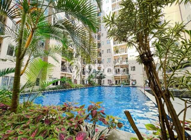 Apartemen Minimalis Modern 2 Kamar di Andir, Luas 47m2 Disewakan Apartemen Minimalis Modern 2 Kamar di Andir, Luas 47m2 Disewakan