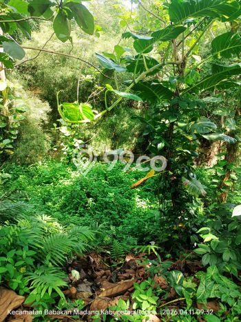 Dijual Tanah di Bogor, Luas 326m2 SHM Dijual Tanah di Bogor, Luas 326m2 SHM