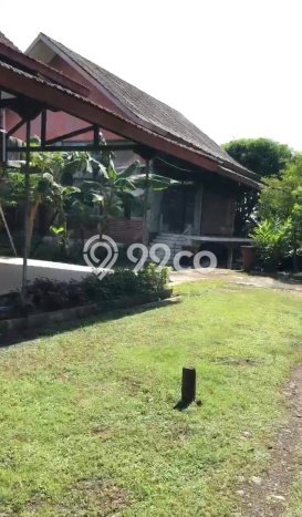Lahan Kosong Dijual di Pasuruan dengan Area 2000m2 Lahan Kosong Dijual di Pasuruan dengan Area 2000m2