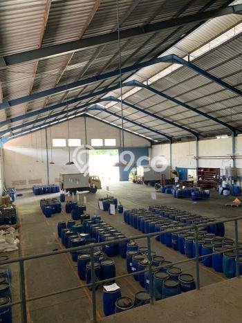 Gudang Bagus Dijual di Padalarang Bandung Lokasi Strategis Cocok untuk Kembangkan Bisnis Gudang Bagus Dijual di Padalarang Bandung Lokasi Strategis Cocok untuk Kembangkan Bisnis