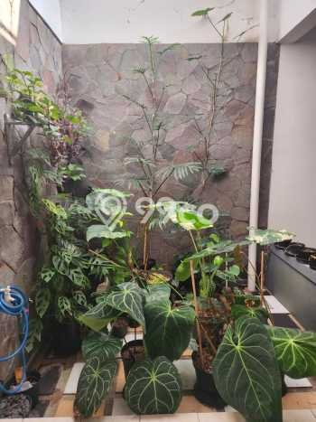 For Sale! Luxury House LT 400m2 Desain Modern di Parongpong For Sale! Luxury House LT 400m2 Desain Modern di Parongpong