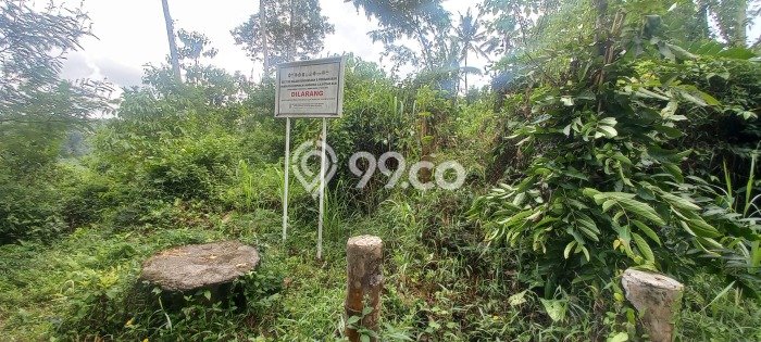 Kavling Tanah di Selat Dijual Luas 19480m2 Legalitas SHM Kavling Tanah di Selat Dijual Luas 19480m2 Legalitas SHM