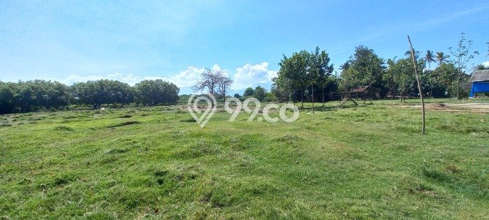 Dijual Tanah di Jembrana, Luas 24950m2 SHM Dijual Tanah di Jembrana, Luas 24950m2 SHM