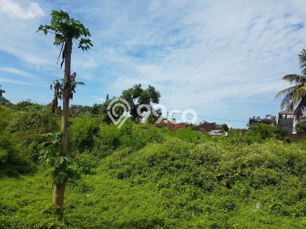 Jarang Ada! Tanah di Subagan Punya Luas 3240m2 SHM Jarang Ada! Tanah di Subagan Punya Luas 3240m2 SHM