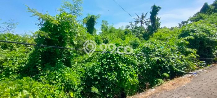 Tanah Dijual Lokasi Blahbatuh, Gianyar Luas 400m2 Legalitas Aman Tanah Dijual Lokasi Blahbatuh, Gianyar Luas 400m2 Legalitas Aman