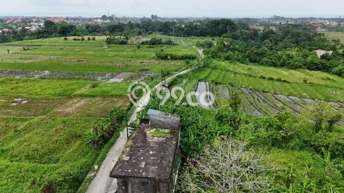 Tanah Dijual Lokasi Strategis di Tabanan dengan Luas 3800m2 Tanah Dijual Lokasi Strategis di Tabanan dengan Luas 3800m2