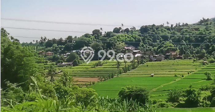 Dijual Tanah di Seririt Buleleng Luas 5700m2 SHM Dijual Tanah di Seririt Buleleng Luas 5700m2 SHM