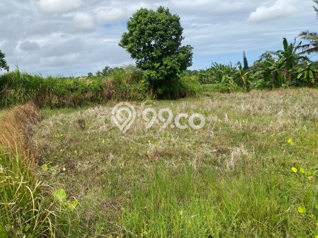 Tanah Dijual di Gianyar Seluas 4470m2 Strategis Tanah Dijual di Gianyar Seluas 4470m2 Strategis