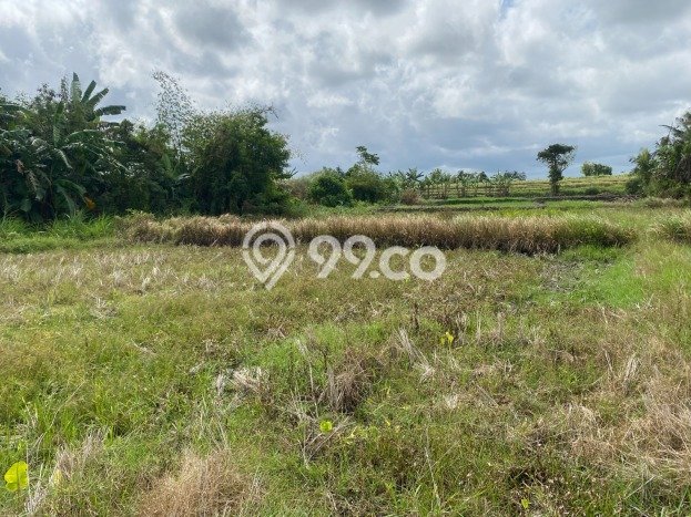 Tanah Dijual di Gianyar Seluas 4470m2 Strategis Tanah Dijual di Gianyar Seluas 4470m2 Strategis