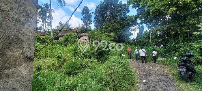 Kavling Tanah di Selat Dijual Luas 19480m2 Legalitas SHM Kavling Tanah di Selat Dijual Luas 19480m2 Legalitas SHM