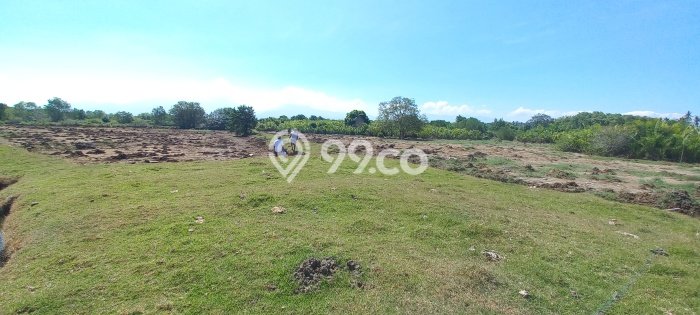 Dijual Tanah di Jembrana, Luas 24950m2 SHM Dijual Tanah di Jembrana, Luas 24950m2 SHM