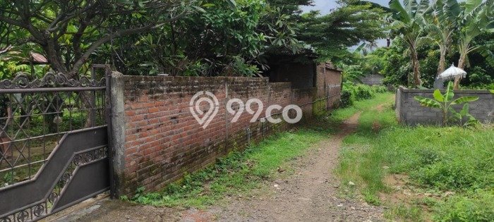 Tanah Kosong Dijual di Buleleng dengan Area 1835m2 Tanah Kosong Dijual di Buleleng dengan Area 1835m2