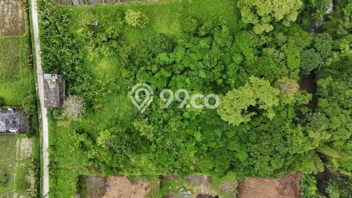 Tanah Dijual Lokasi Strategis di Tabanan dengan Luas 3800m2 Tanah Dijual Lokasi Strategis di Tabanan dengan Luas 3800m2