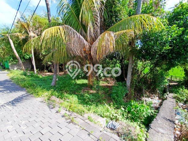 Tanah Dijual Lokasi Blahbatuh, Gianyar Luas 400m2 Legalitas Aman Tanah Dijual Lokasi Blahbatuh, Gianyar Luas 400m2 Legalitas Aman