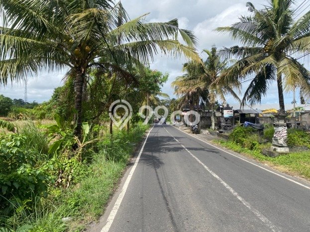 Tanah Dijual di Gianyar Seluas 4470m2 Strategis Tanah Dijual di Gianyar Seluas 4470m2 Strategis
