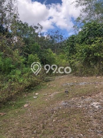 Tanah di Kuta, Badung Luas 9450m2 Dijual Segera Tanah di Kuta, Badung Luas 9450m2 Dijual Segera