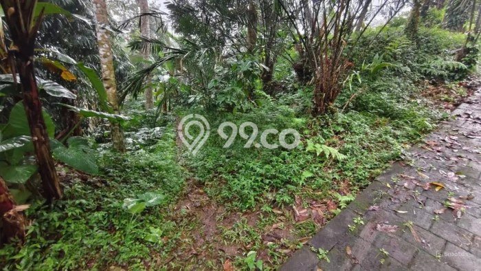 Tanah Komersial Dijual di Petang Badung 9950m2 Tanah Komersial Dijual di Petang Badung 9950m2