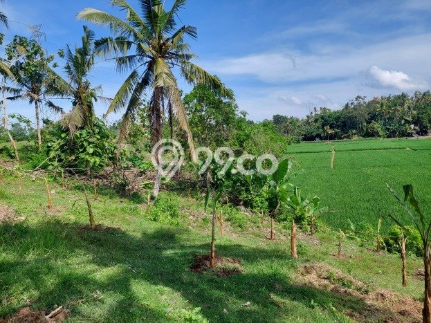 Dijual Tanah Lokasi Pohsanten, Jembrana Seluas 8230m2 Dijual Tanah Lokasi Pohsanten, Jembrana Seluas 8230m2