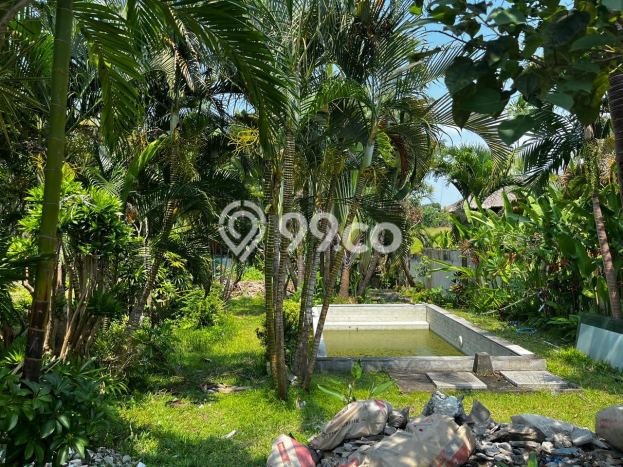 Tanah Disewakan Lokasi Canggu Badung Luas 1100m2 Tanah Disewakan Lokasi Canggu Badung Luas 1100m2
