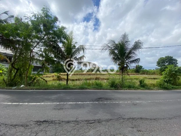 Tanah Dijual Area Strategis di Batubulan Kangin Gianyar 1390m2 Tanah Dijual Area Strategis di Batubulan Kangin Gianyar 1390m2