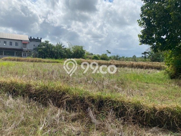 Tanah Dijual di Gianyar Seluas 4470m2 Strategis Tanah Dijual di Gianyar Seluas 4470m2 Strategis