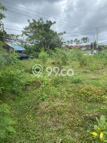 Tanah Dijual di Badung Seluas 2450m2 Strategis Tanah Dijual di Badung Seluas 2450m2 Strategis