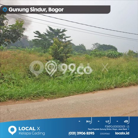Tanah untuk Dijual di Gunung Sindur Bogor Luas 9000m2 Tanah untuk Dijual di Gunung Sindur Bogor Luas 9000m2