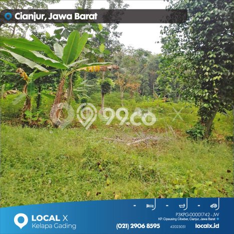 Tanah Dijual Lokasi Cipanas, Cianjur Luas 52000m2 Legalitas Aman Tanah Dijual Lokasi Cipanas, Cianjur Luas 52000m2 Legalitas Aman