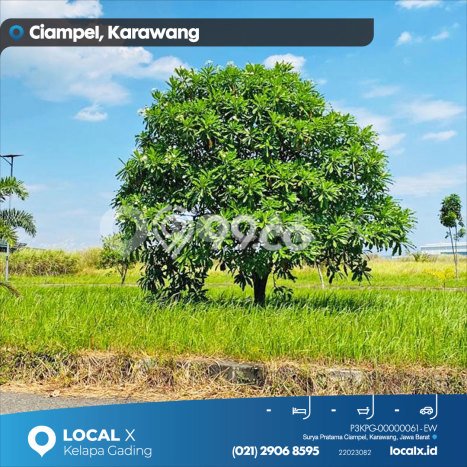 Tanah Kavling Dijual di Telukjambe, Karawang dengan Luas Tanah 35000m2 Tanah Kavling Dijual di Telukjambe, Karawang dengan Luas Tanah 35000m2