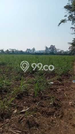 Tanah Kavling Dijual di Malang dengan Spesifikasi 2737m2 Tanah Kavling Dijual di Malang dengan Spesifikasi 2737m2