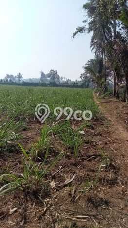 Tanah Kavling Dijual di Malang dengan Spesifikasi 2737m2 Tanah Kavling Dijual di Malang dengan Spesifikasi 2737m2