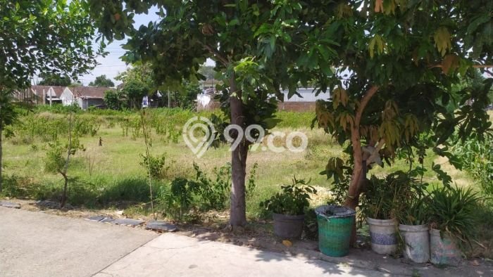 Kavling Tanah di Kartosuro Dijual Luas 2703m2 Legalitas SHM Kavling Tanah di Kartosuro Dijual Luas 2703m2 Legalitas SHM