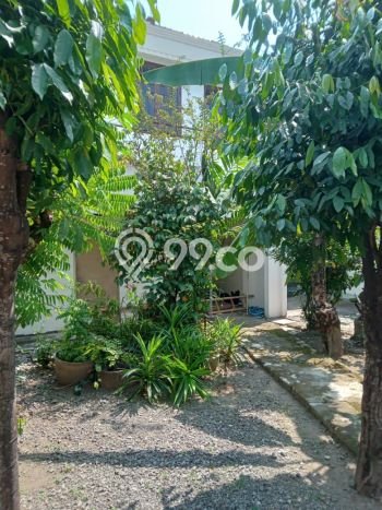 Siap Huni Rumah Mewah 5 Kamar di Banjarsari Dekat ke Mana Pun Siap Huni Rumah Mewah 5 Kamar di Banjarsari Dekat ke Mana Pun