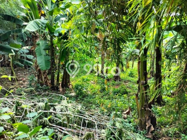 Tanah Kavling untuk Dijual di Pesanggrahan Jakarta Selatan 1129m2 Tanah Kavling untuk Dijual di Pesanggrahan Jakarta Selatan 1129m2