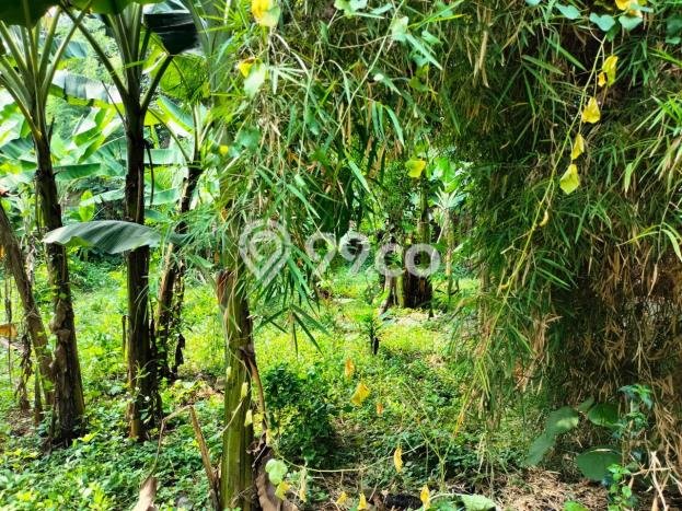 Tanah Kavling untuk Dijual di Pesanggrahan Jakarta Selatan 1129m2 Tanah Kavling untuk Dijual di Pesanggrahan Jakarta Selatan 1129m2