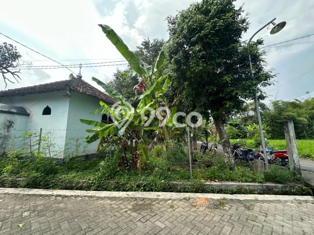 Jual Rumah Modern 2 KT di Sleman, Yogyakarta Jual Rumah Modern 2 KT di Sleman, Yogyakarta