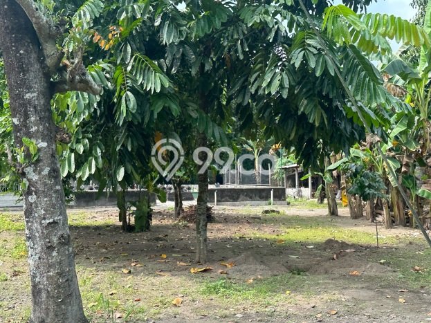 Jual Rumah Modern 2 KT di Sleman, Yogyakarta Jual Rumah Modern 2 KT di Sleman, Yogyakarta