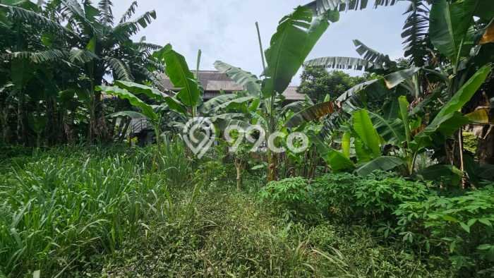 Lahan Dijual Lokasi Strategis di Tangerang dengan Luas 534m2 Lahan Dijual Lokasi Strategis di Tangerang dengan Luas 534m2