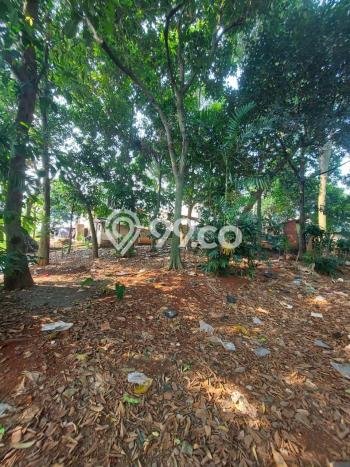 Tanah Kavling Dijual di Gandul, Depok dengan Luas Tanah 3300m2 Tanah Kavling Dijual di Gandul, Depok dengan Luas Tanah 3300m2