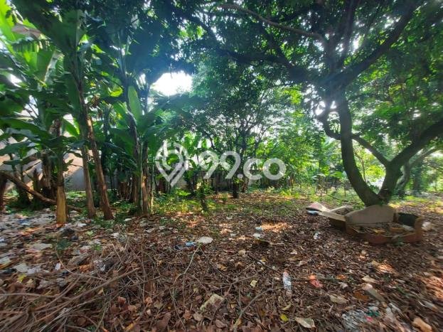Tanah Kavling Dijual di Gandul, Depok dengan Luas Tanah 3300m2 Tanah Kavling Dijual di Gandul, Depok dengan Luas Tanah 3300m2
