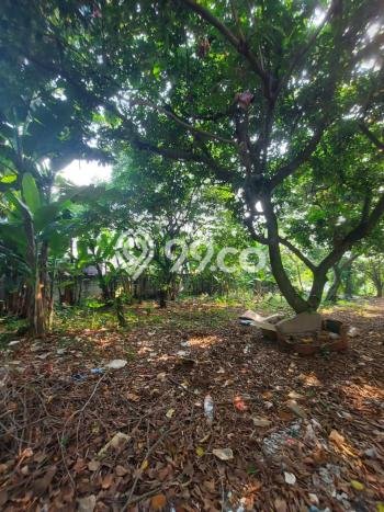 Tanah Kavling Dijual di Gandul, Depok dengan Luas Tanah 3300m2 Tanah Kavling Dijual di Gandul, Depok dengan Luas Tanah 3300m2