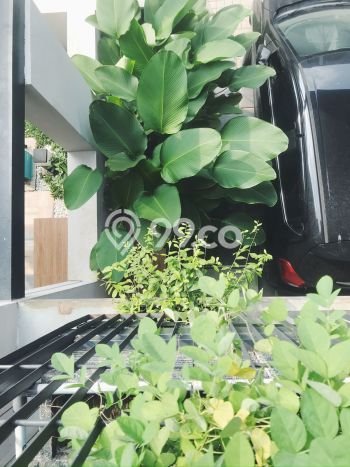Rumah Strategis Modern Lb 45m2 di BSD, Tangerang Selatan Rumah Strategis Modern Lb 45m2 di BSD, Tangerang Selatan