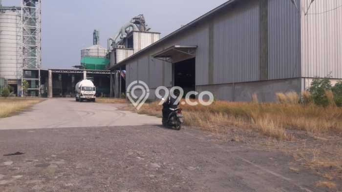 Pabrik Paling Dicari LB 5000m2 Dijual di Bojonegara Pabrik Paling Dicari LB 5000m2 Dijual di Bojonegara