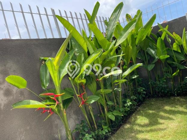 Vila Disewakan Kawasan Sanur, Luas 0m2m², Kawasan Nyaman Vila Disewakan Kawasan Sanur, Luas 0m2m², Kawasan Nyaman