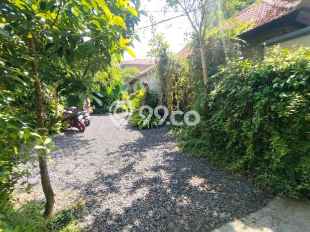 For Rent Vila di , Luas 0m2m², Dekat ke Denpasar, Denpasar, Harga Terjangkau For Rent Vila di , Luas 0m2m², Dekat ke Denpasar, Denpasar, Harga Terjangkau