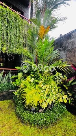 Vila Ready di , Area 500m2m², Harga Terjangkau Vila Ready di , Area 500m2m², Harga Terjangkau