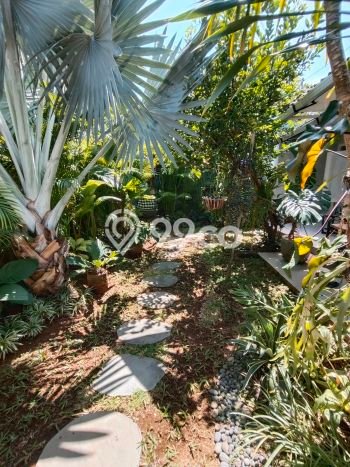 Tersedia Vila untuk Rent di Sanur, Area 0m², Dekat ke Fasilitas Umum Tersedia Vila untuk Rent di Sanur, Area 0m², Dekat ke Fasilitas Umum