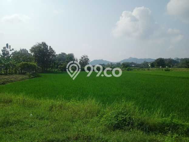 Lahan Strategis di Selogiri Dijual dengan Luas 4235m2 Lahan Strategis di Selogiri Dijual dengan Luas 4235m2