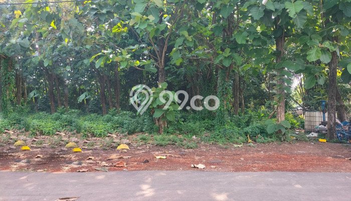 Tanah Kavling Dijual di Boyolali Kota, Boyolali dengan Luas Tanah 1000m2 Tanah Kavling Dijual di Boyolali Kota, Boyolali dengan Luas Tanah 1000m2