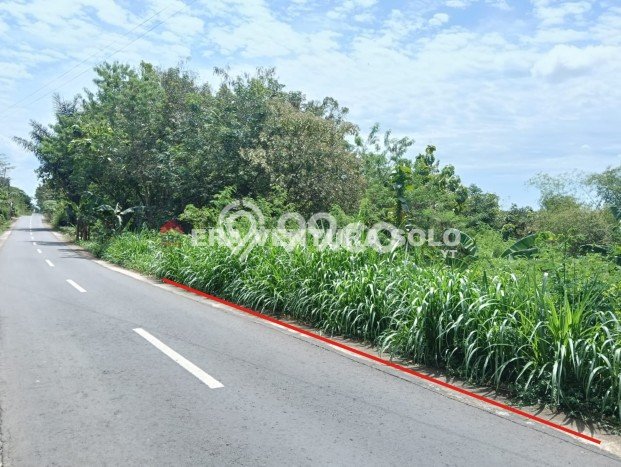 Tanah Area Prospektif Kawasan Mojogedang, Luas 1550m2m², Akses ke Pusat Kota, Lingkungan Nyaman Tanah Area Prospektif Kawasan Mojogedang, Luas 1550m2m², Akses ke Pusat Kota, Lingkungan Nyaman